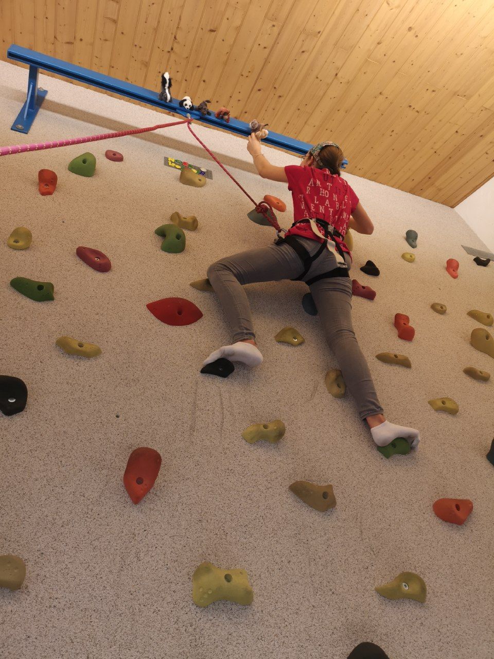 Junge auf Kletterwand