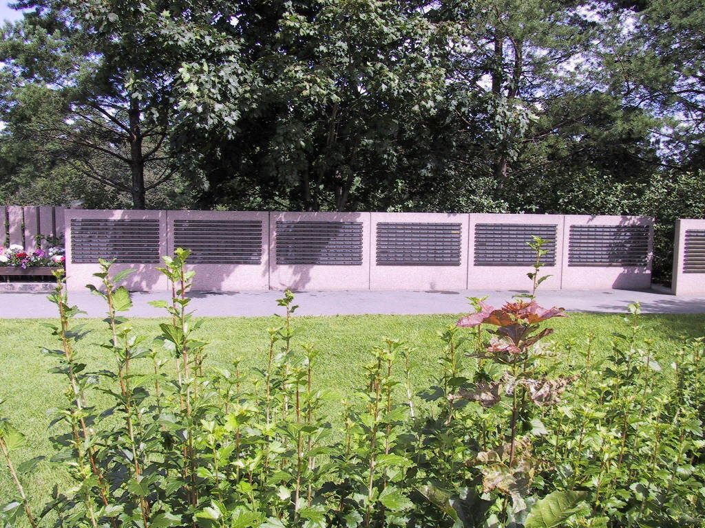 Rivit vaaleanpunaisia ​​​​istutusastioita ja pieniä puita vihreässä puistomaisessa puutarhassa