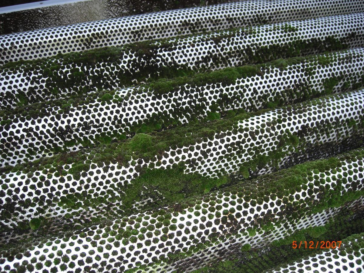 Schalldämpfer vorher