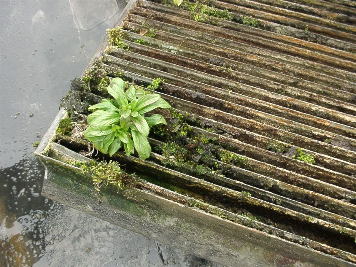 Tropfenabscheider vorher