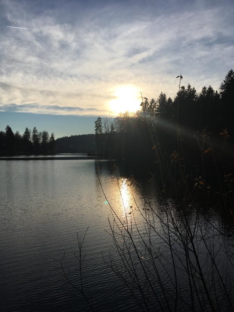 Herrensee in Litschau