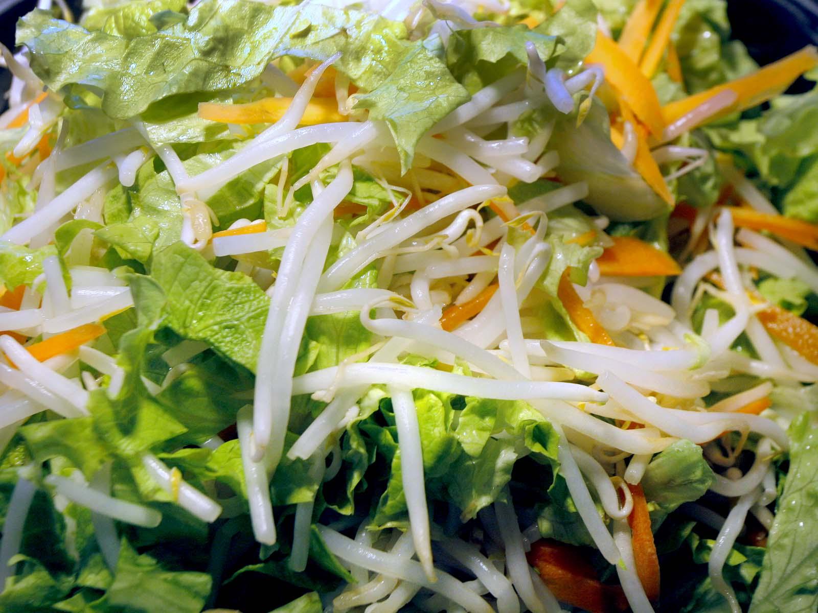 Nos salades fraicheurs