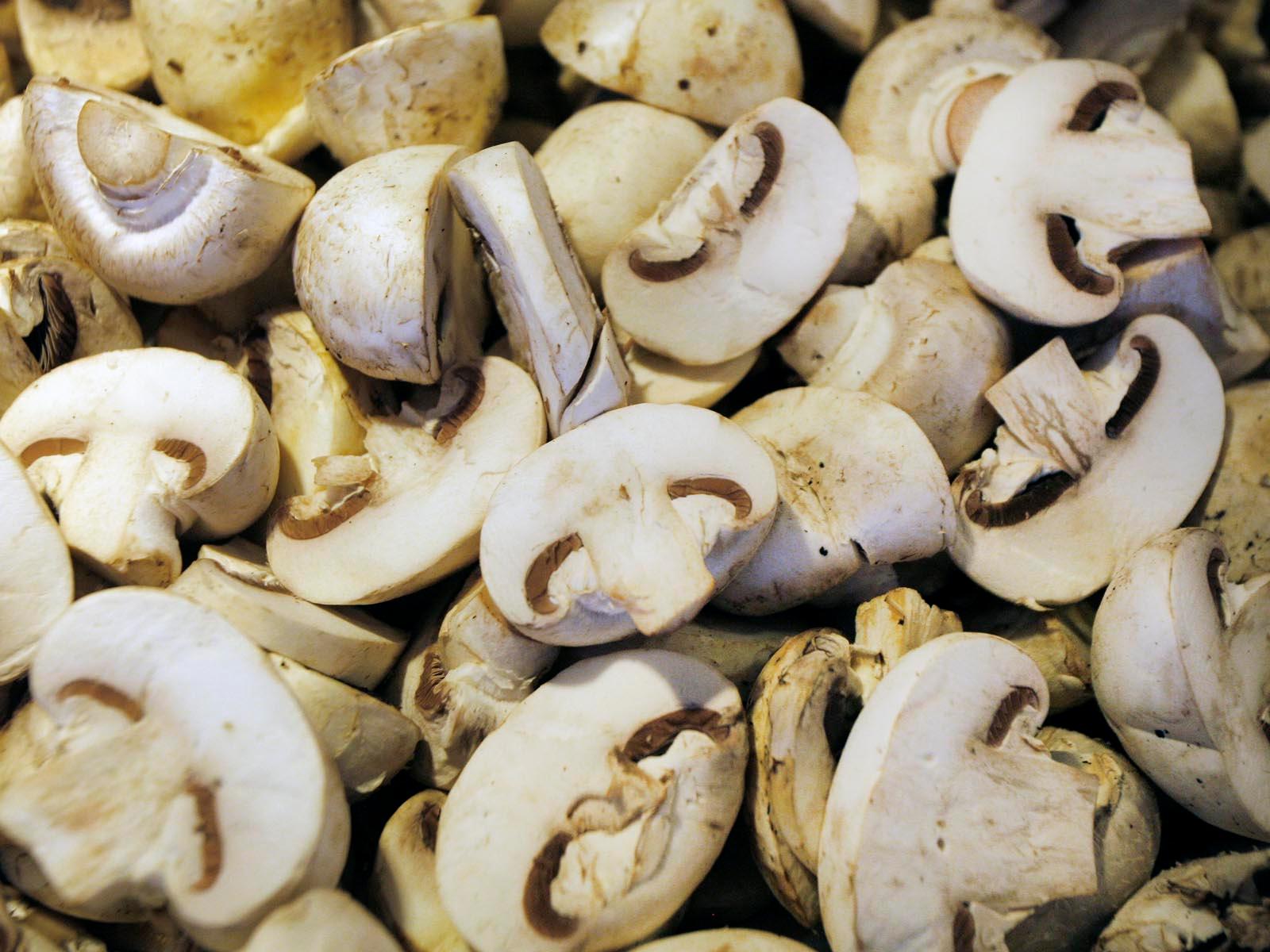 Nos champignons