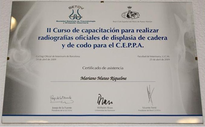 A certificate that says ii curso de capacitacion