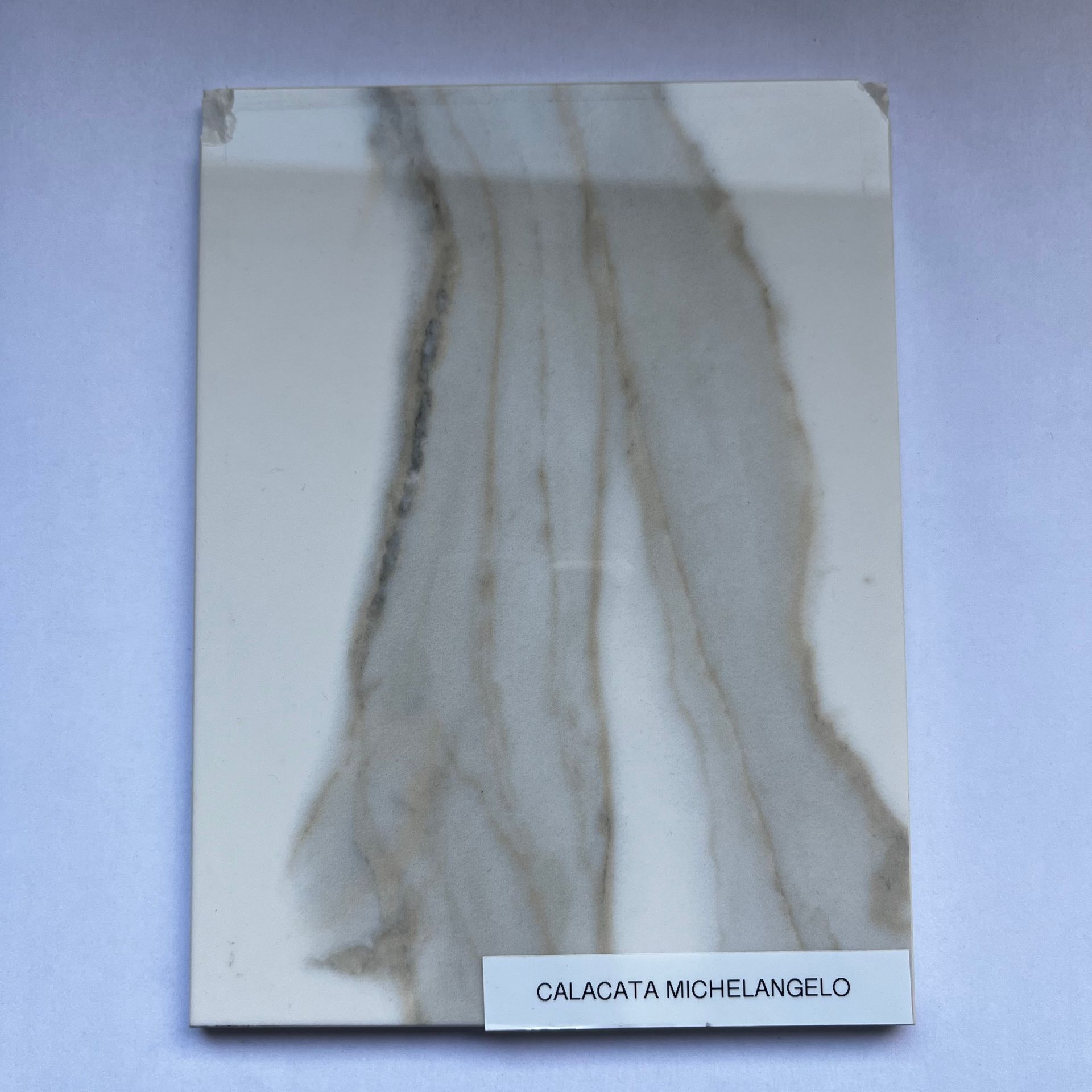 Dalle Calacatta Michelangelo poli