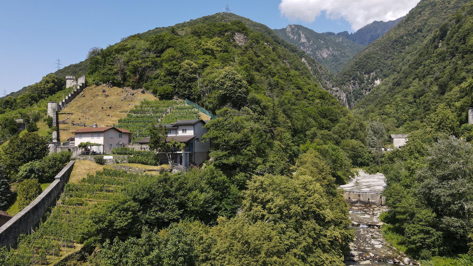 Un fiume scorre attraverso una valle circondata da montagne e alberi.