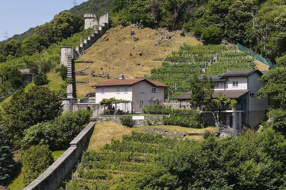 Una fila di botti di legno accatastate l'una sull'altra in una cantina