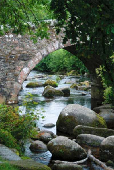 Herzlich Willkommen bei Naturheilpraxis Anne Naser-Wagner in Kitzingen