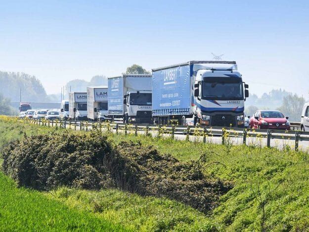 Camions et camionnettes sur la route