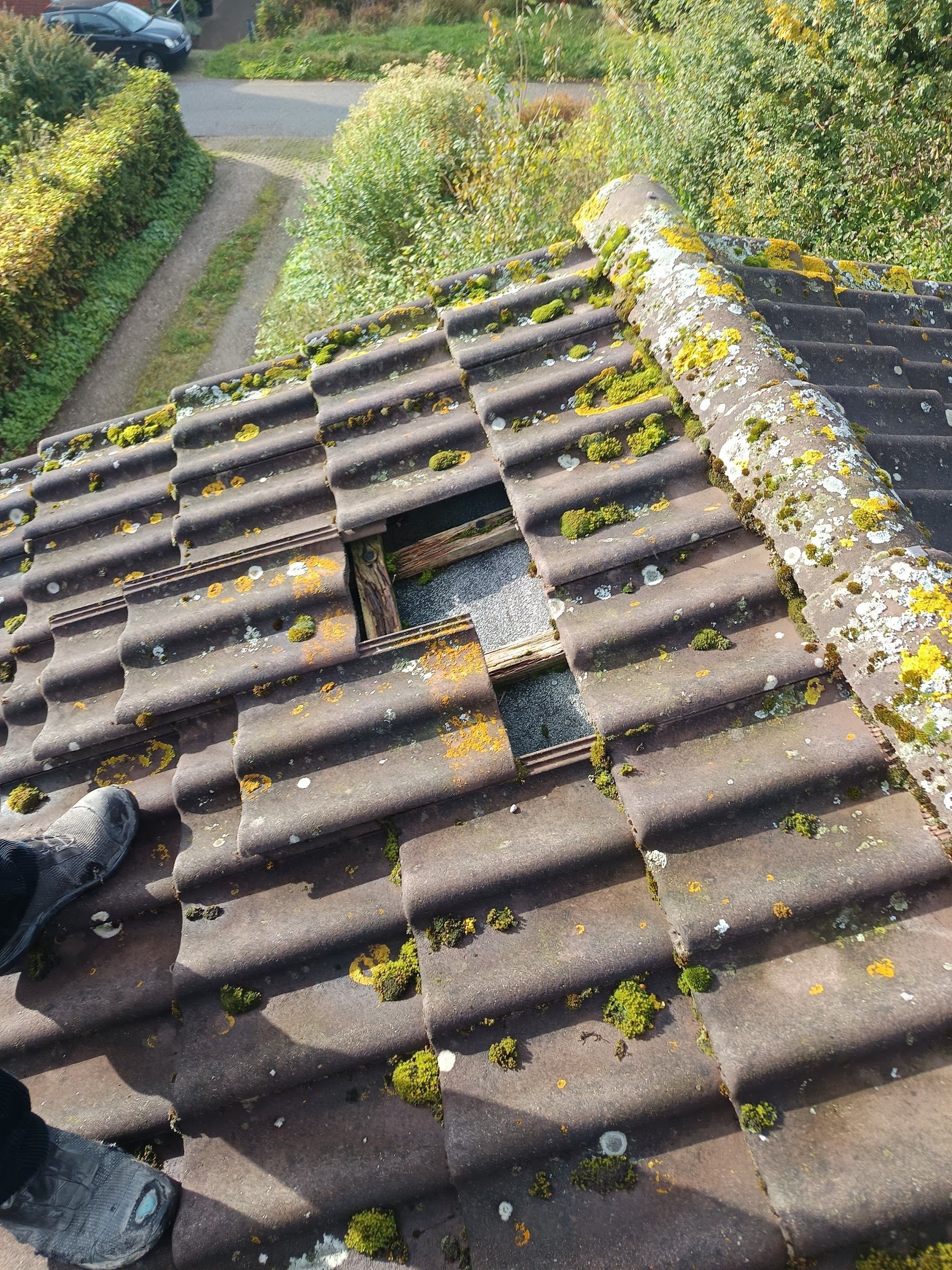 Ein Ast hat das Dach und die Dachrinne beschädigt.