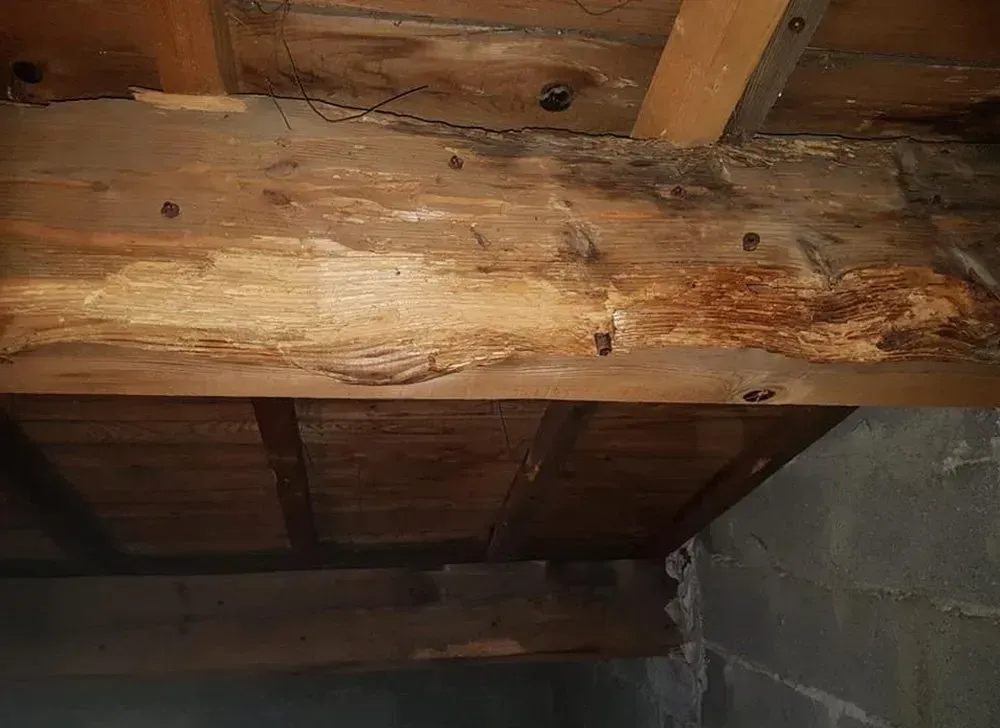 Un poutre en bon état