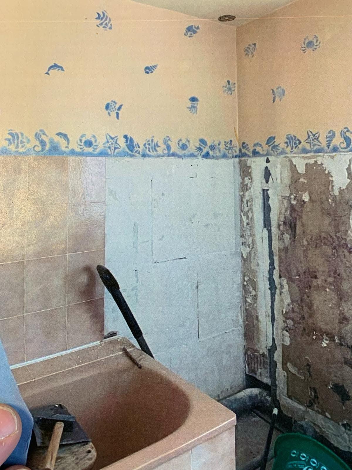 Petit coin de salle de bains avec un lavabo, de la peinture écaillée sur les murs et un mur abîmé sous une frise florale.