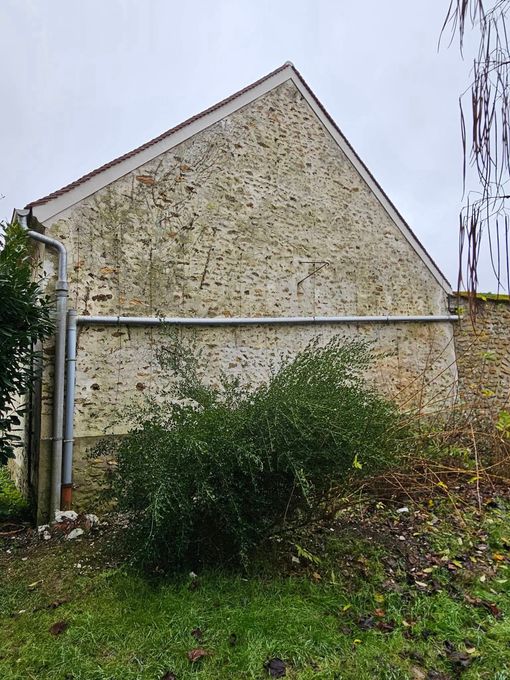Mur pignon blanc patiné, avec un grand buisson et de l’herbe au premier plan.