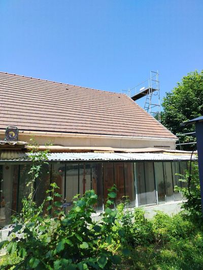 Maison envahie par la végétation, avec un toit en bardeaux bruns et des fenêtres bordées de blanc.