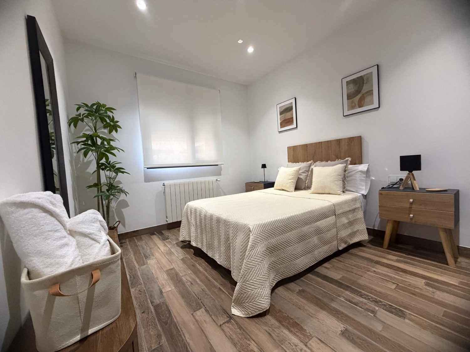 Dormitorio luminoso con una cama, mesitas de noche, una silla, una ventana, una planta en maceta y suelo de madera.
