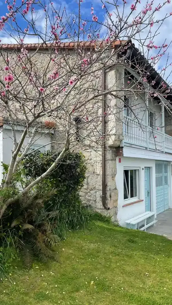 Casa blanca con molduras azules, detrás de un árbol en flor de color rosa y un césped verde, bajo un cielo despejado