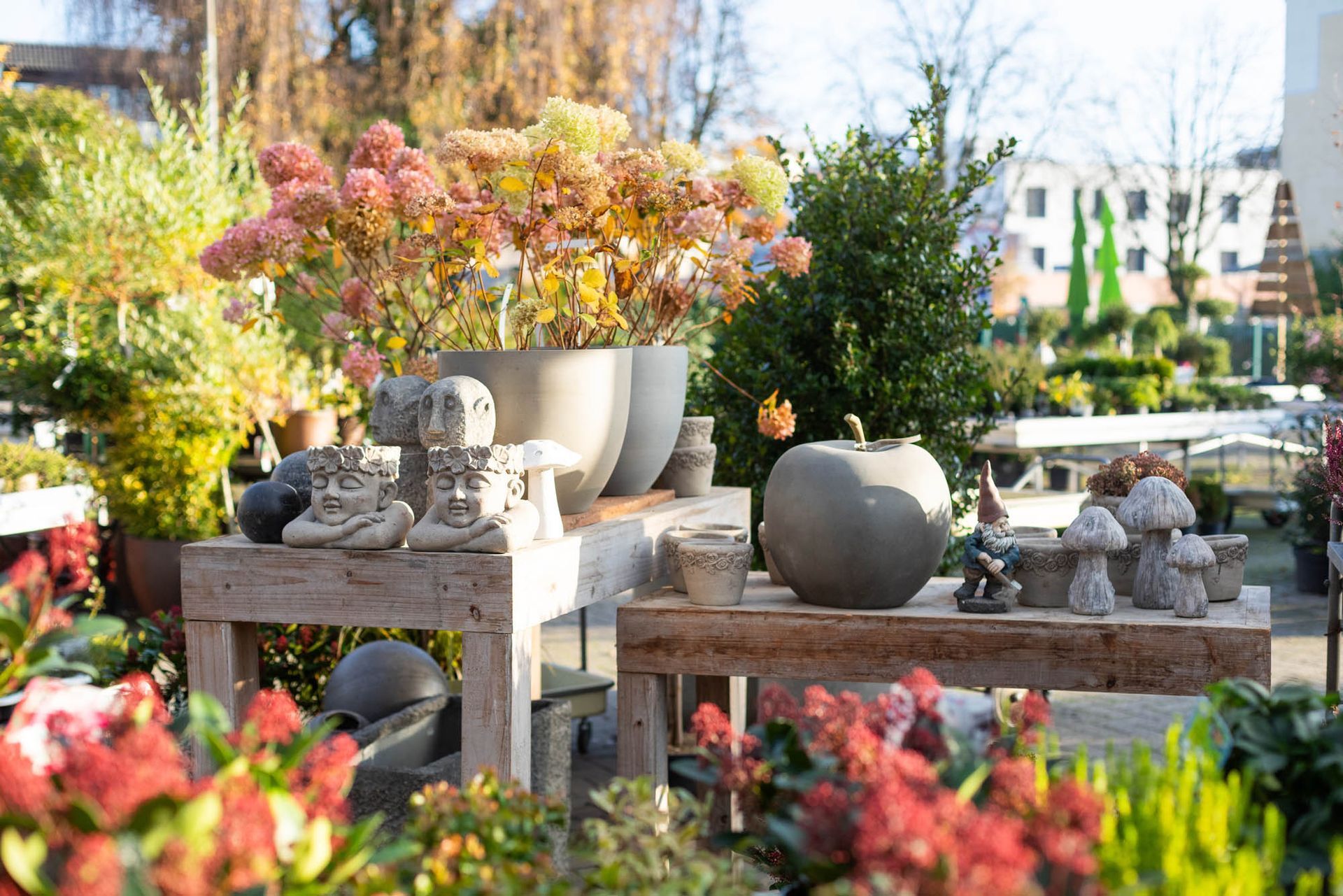 Anke Böhmann Floristik seit 1899