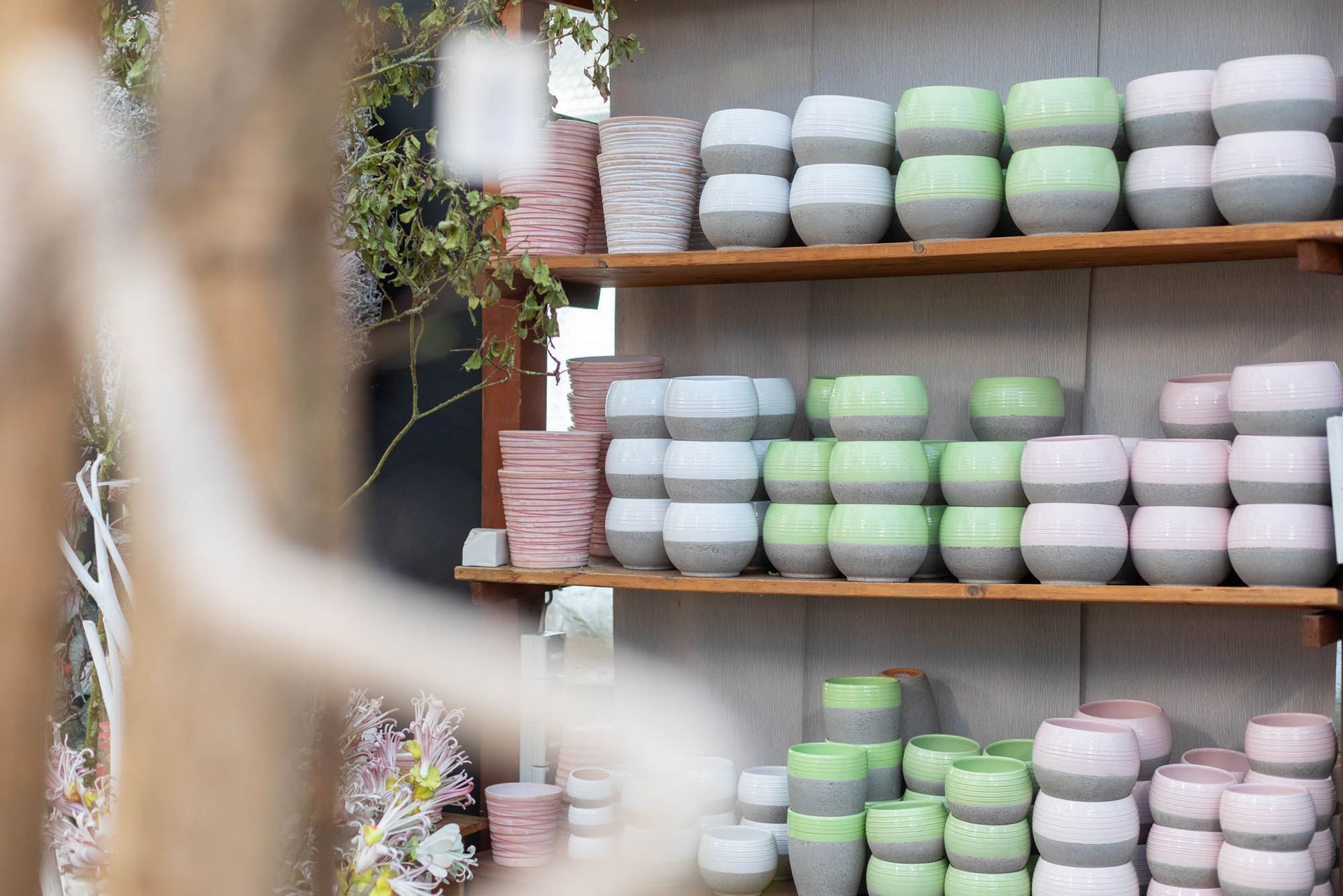 Anke Böhmann Floristik in Rothenfelde