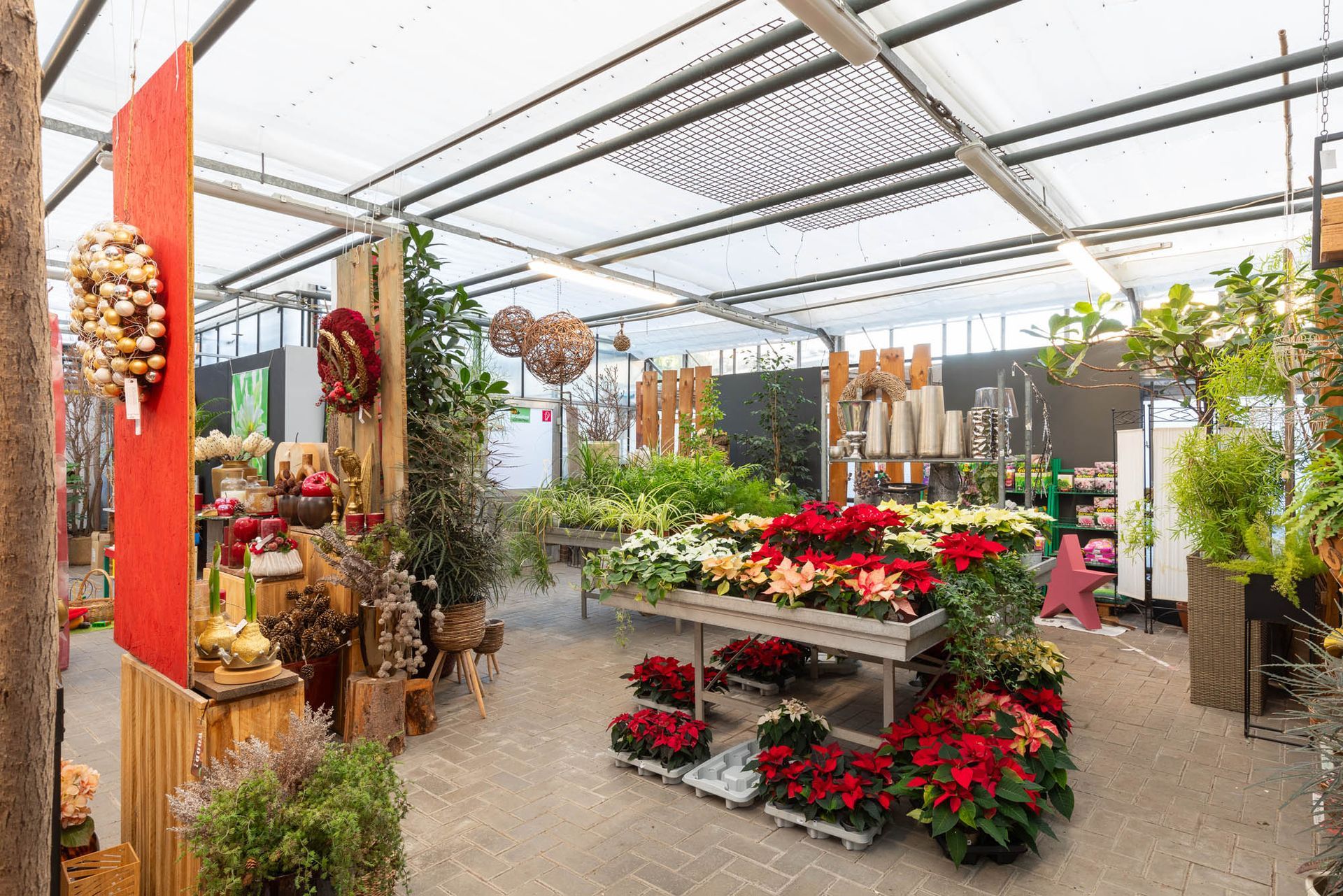 Anke Böhmann Floristik | Pflanzen, Floristik und Lifestyle