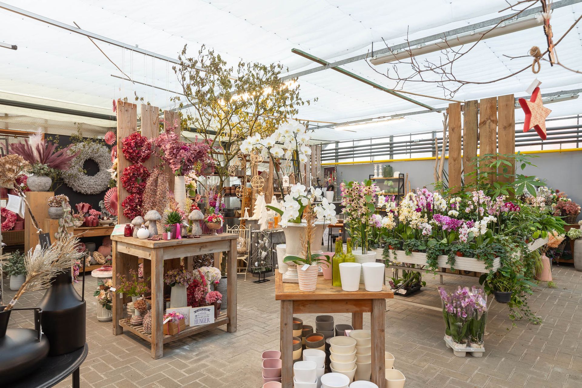 Anke Böhmann Floristik seit 1899