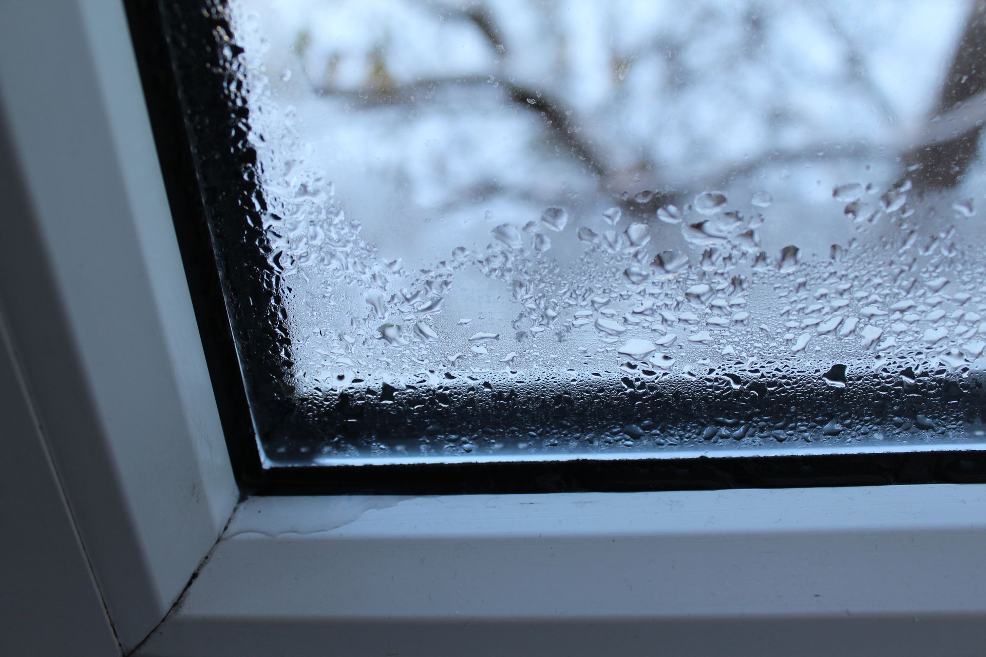 Condensation visible sur une fenêtre de toit à cause d'une mauvaise étanchéité 