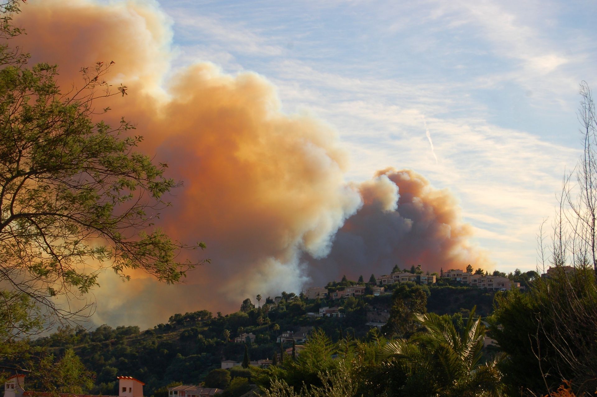 Feu de forêt dans le sud de la France