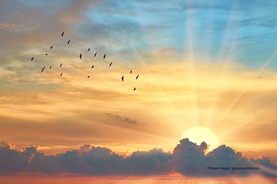 Sonne geht hinter den Wolken unter und Vögel, die wegfliegen