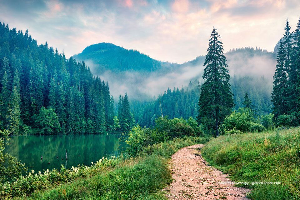 Wanderweg durch Wald und Berge