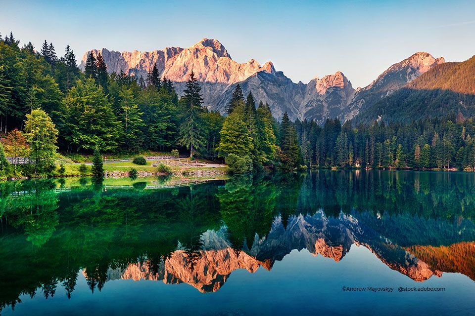 Waldsee umringt von Tannen und Bergen