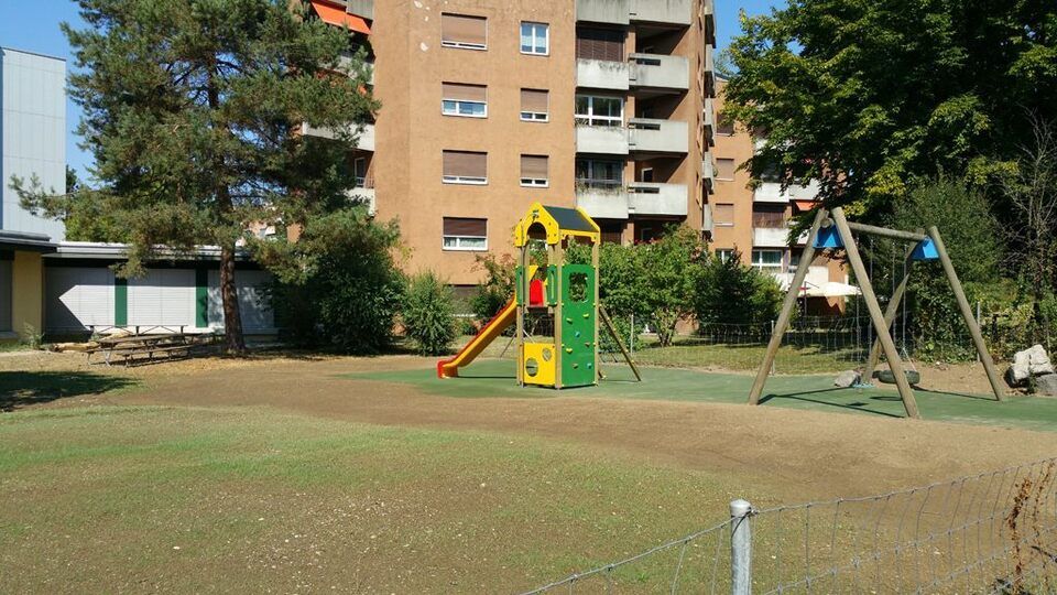 Arbeit der Braun Gartenbau AG