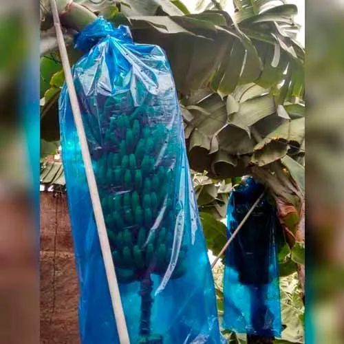 Una bolsa de papel blanca con la palabra farmacia escrita en ella.