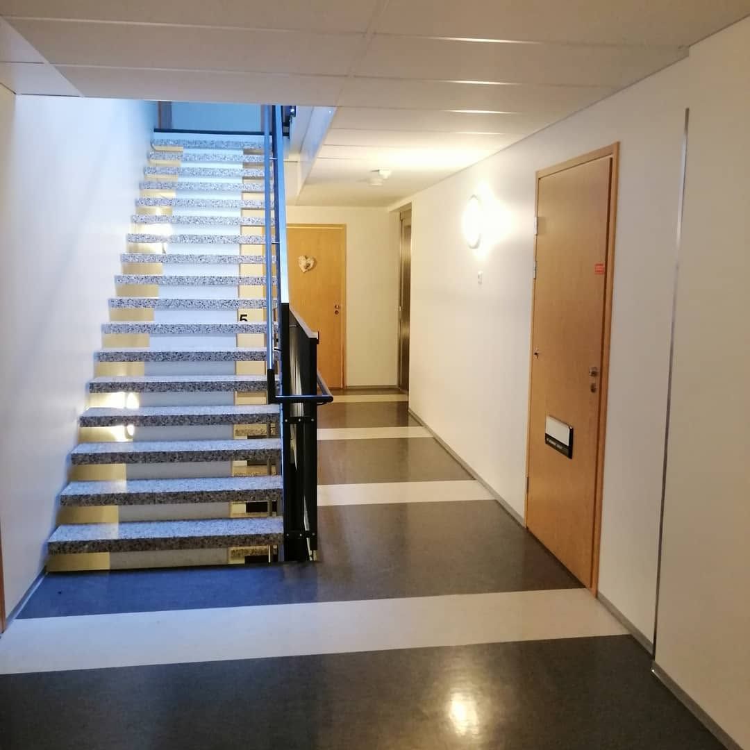 Taloyhtiön porraskäytävän ja yhteisten tilojen pintasaneeraus Vantaalla.
