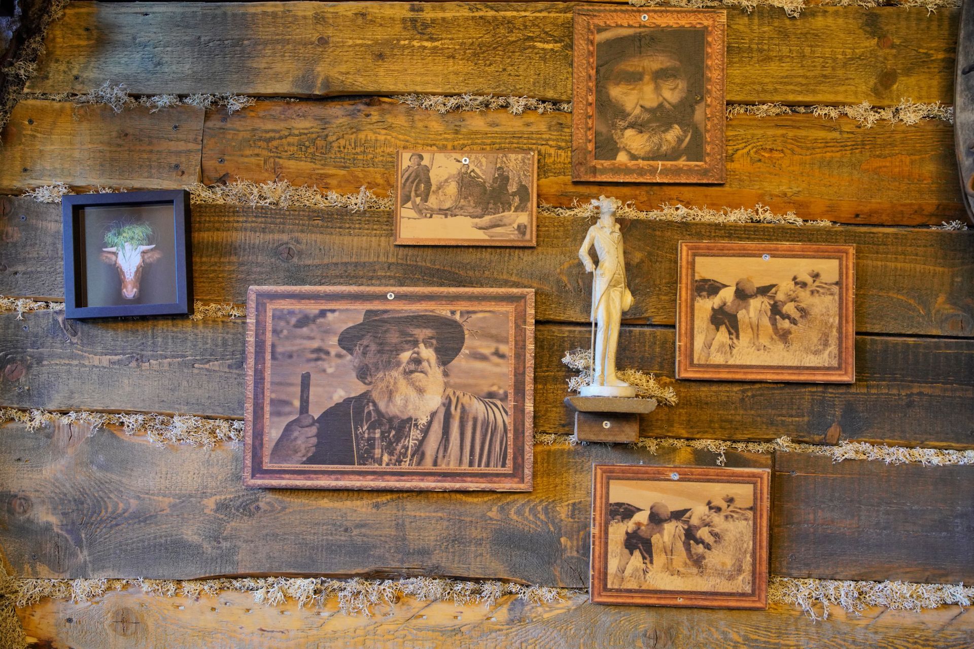 Grenz Alm - alte Fotos