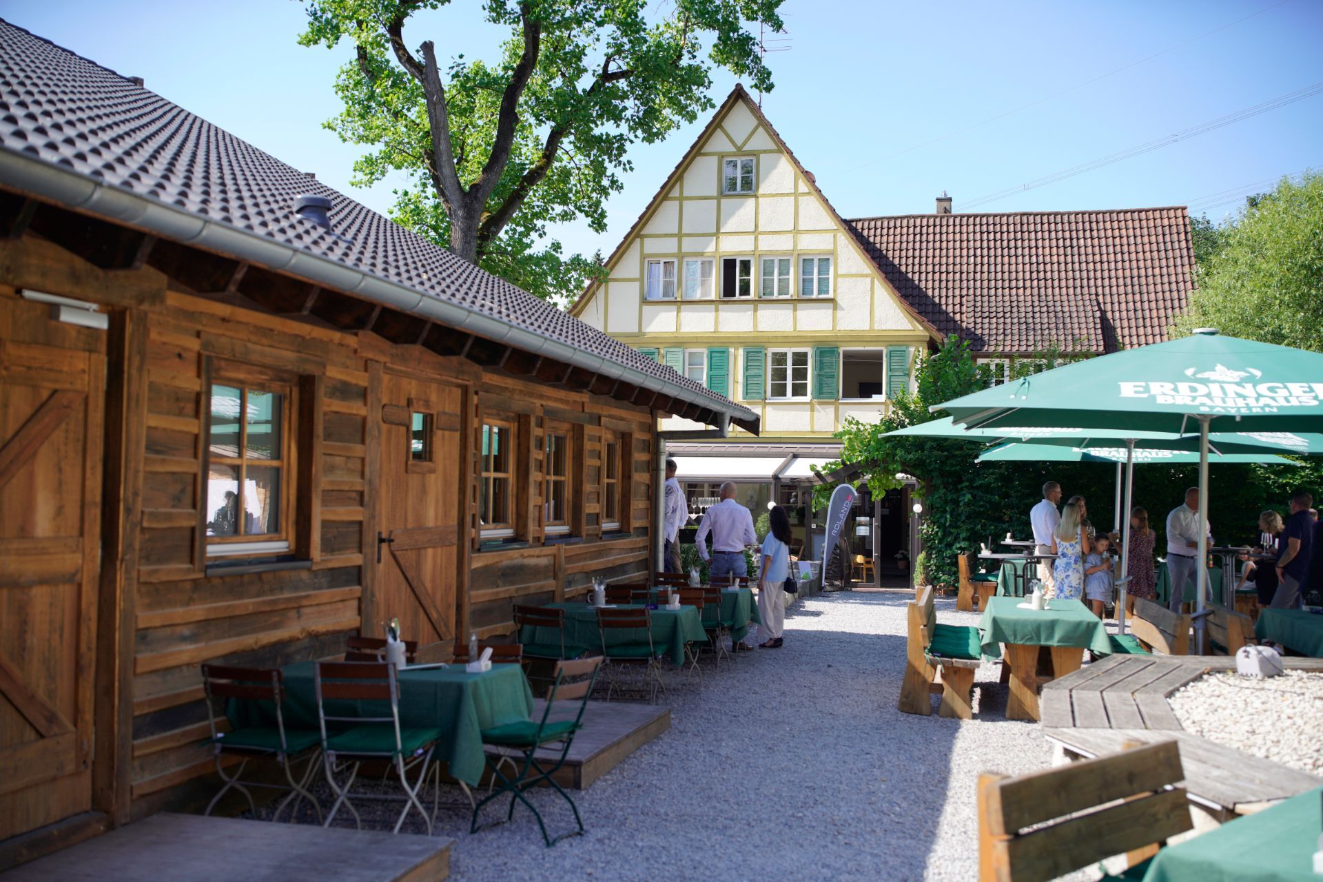 Weinberge mit vielen grünen Reben