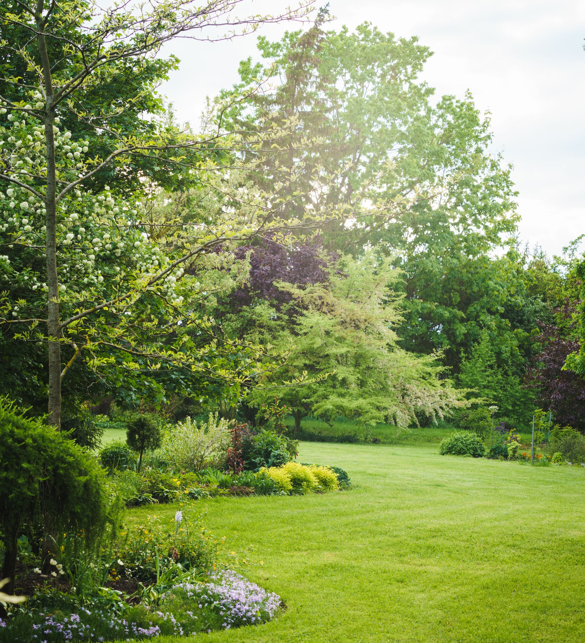 Jardin avec des massifs et des arbres