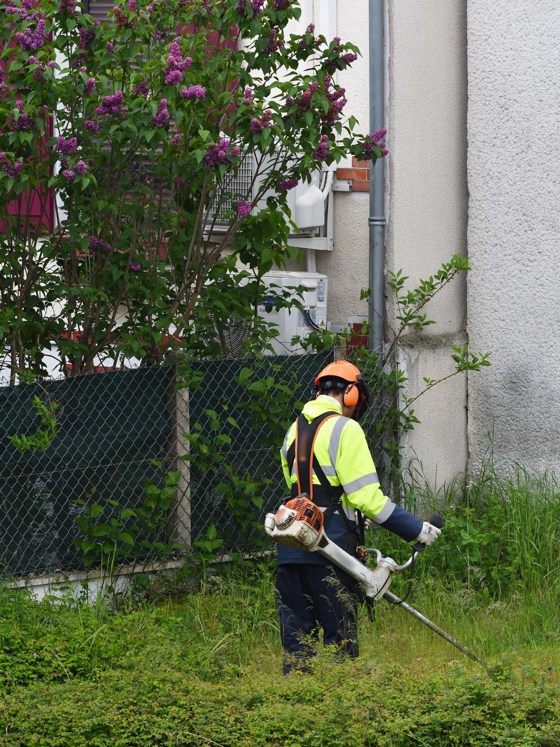 Homme débroussaillant
