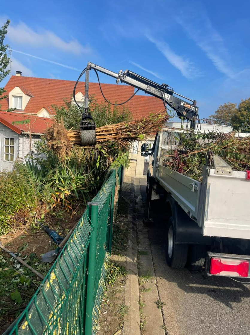 Élagueur coupant une branche d'arbre