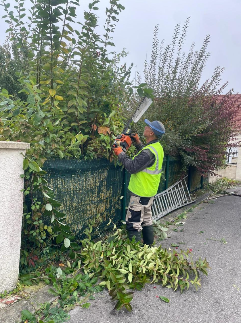 Arbre dans une allée
