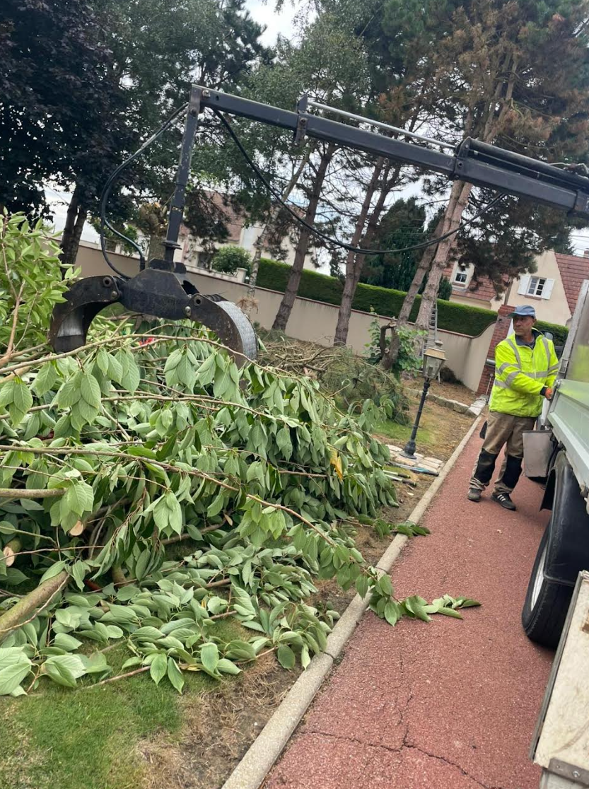Élagueur en hauteur dans un arbre