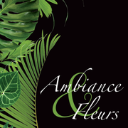 Logo de l'entreprise Ambiance et Fleurs