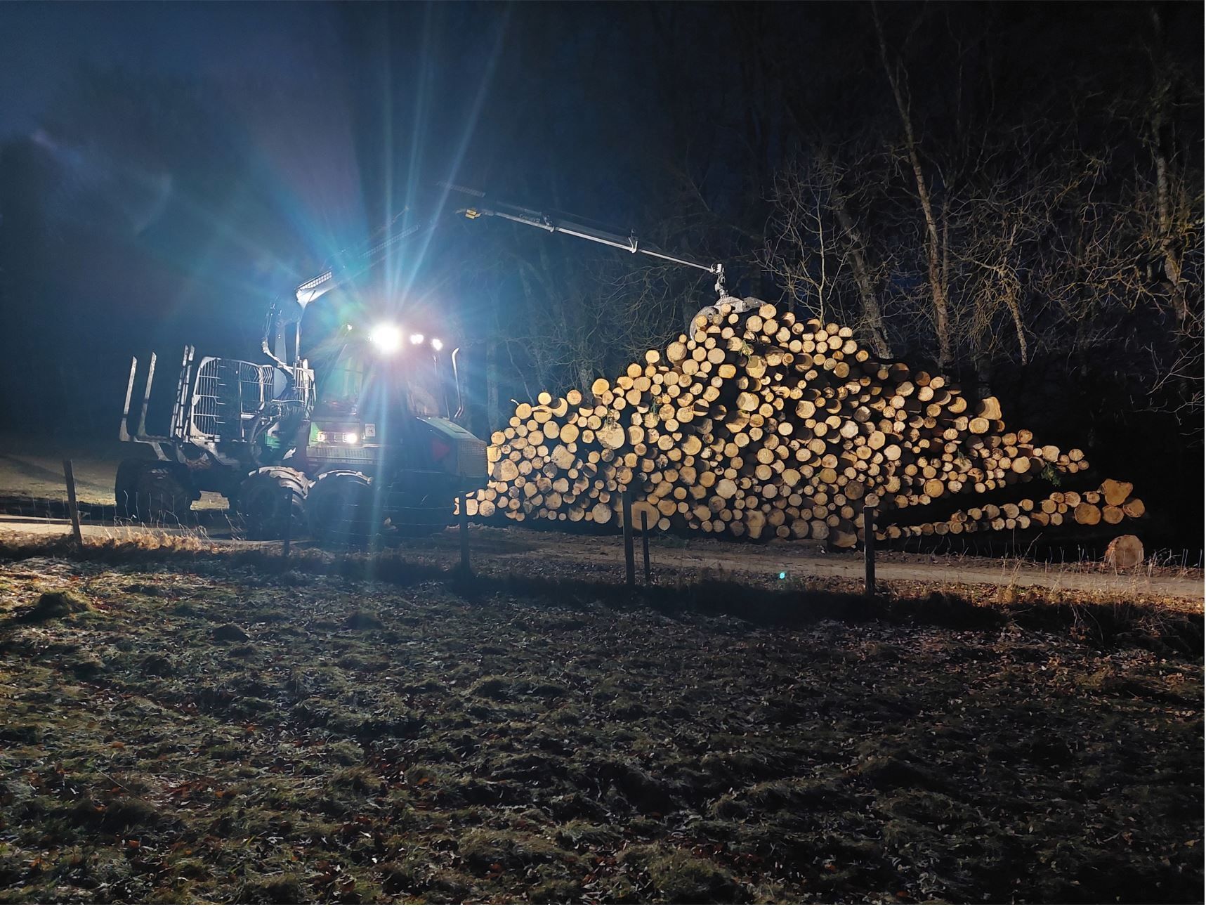 Frédéric Staehli Services Sàrl - photo de nuit d'un tas de bois