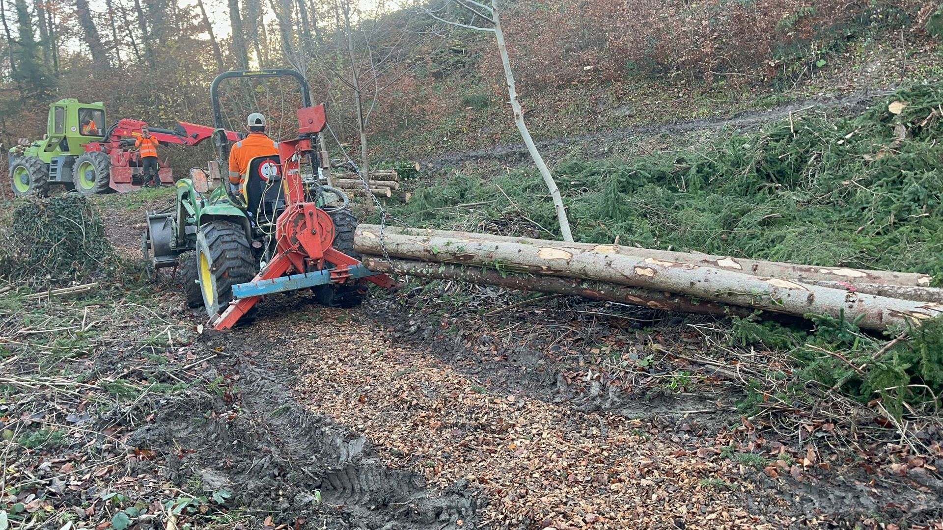 Frédéric Staehli Services Sàrl-travaux en fôret