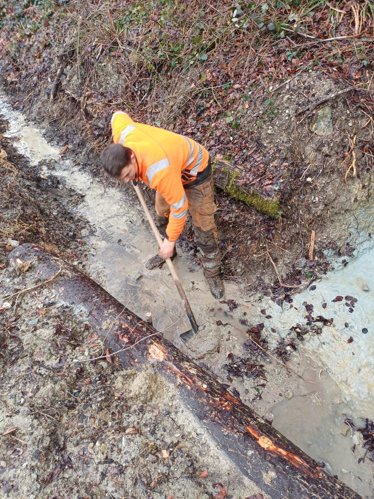 Frédéric Staehli Services Sàrl - un homme effectue des travaux en forêt avec une pelle