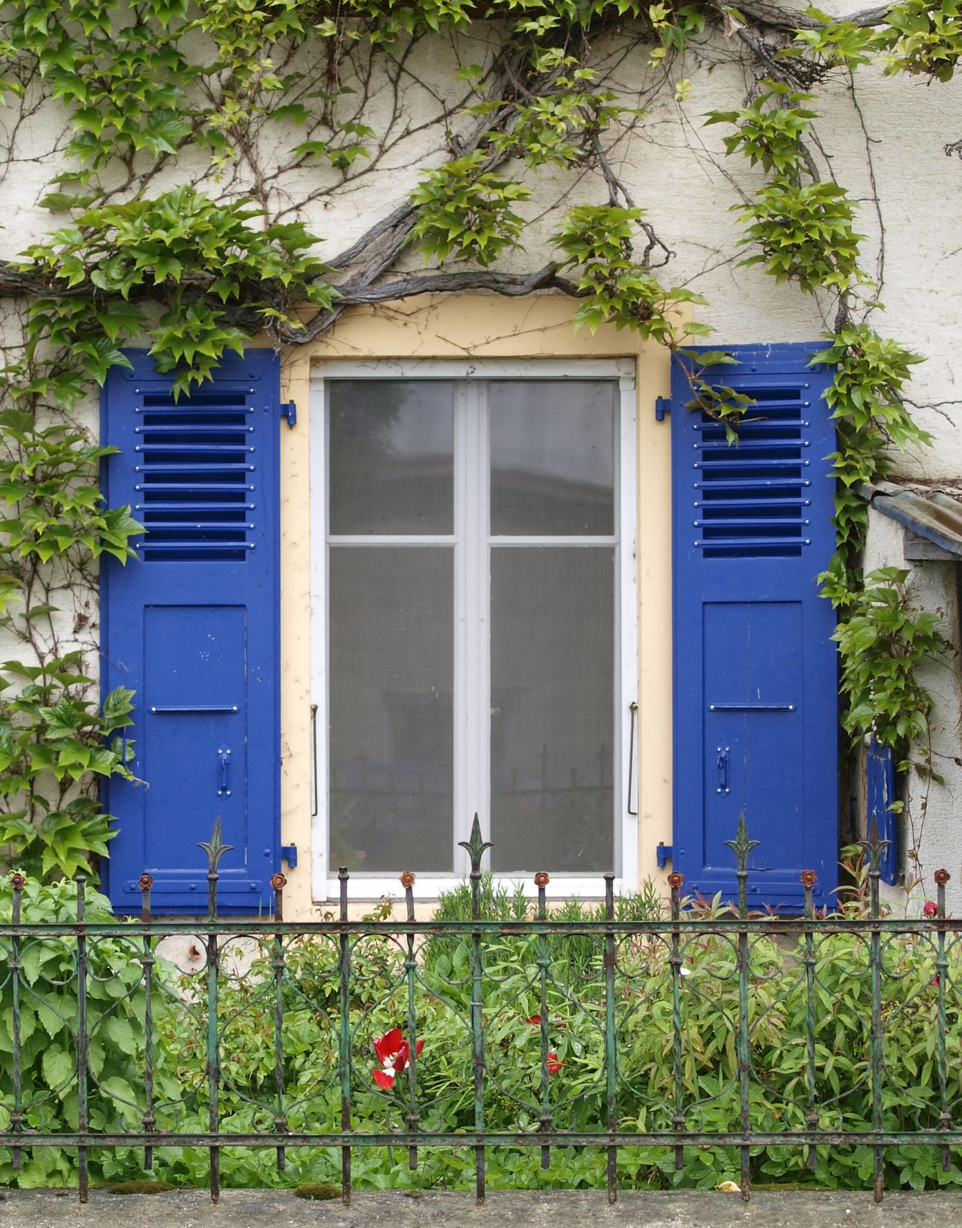 Des volets battants bleus.