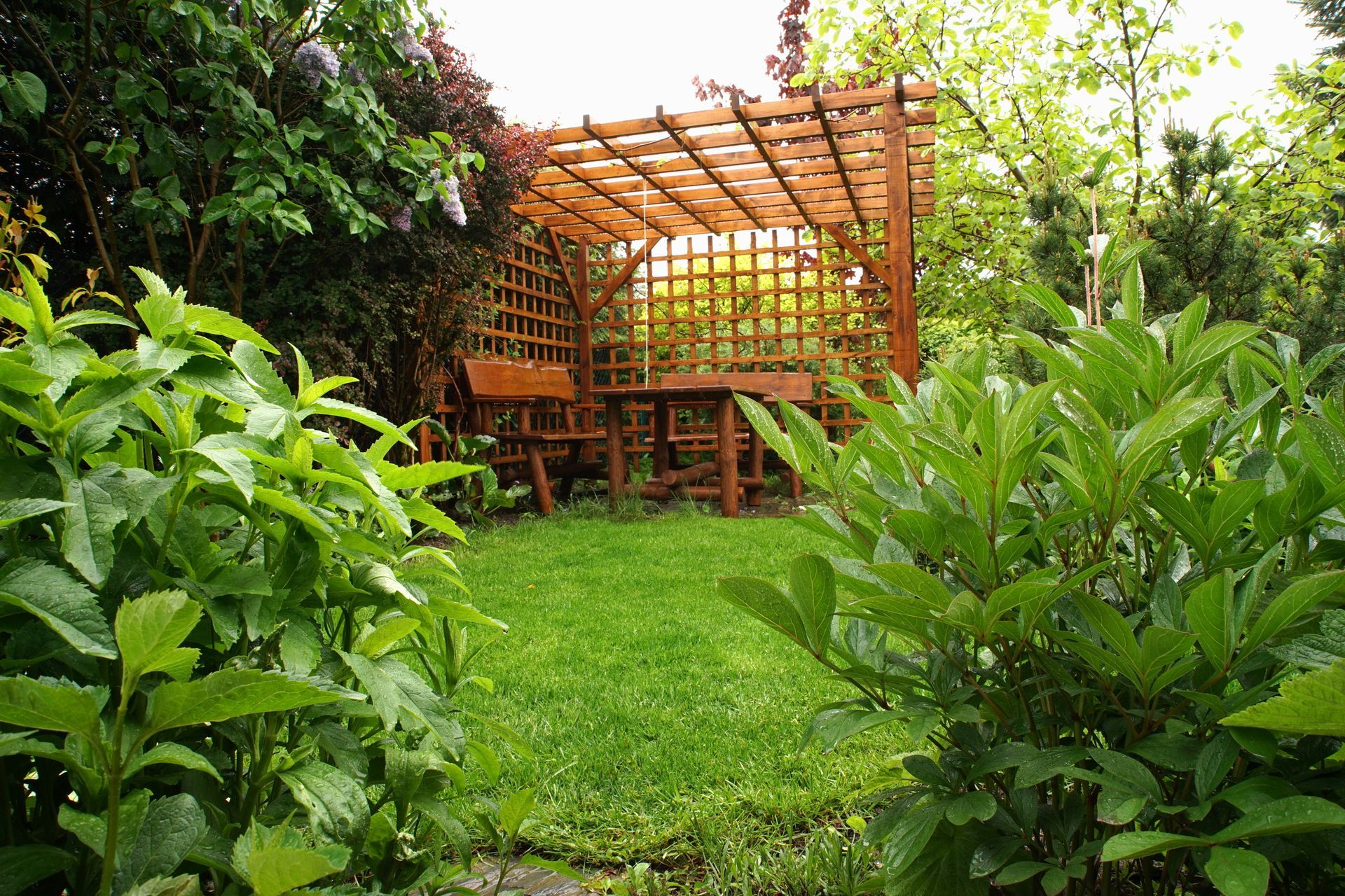 Pergola en bois dans un jardin verdoyant