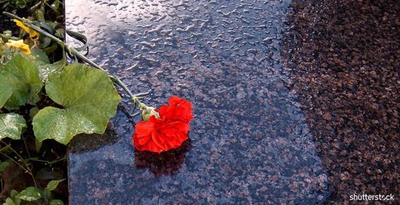 Fleur rouge flottant sur l'eau ridée, près de feuilles vertes et de pierres
