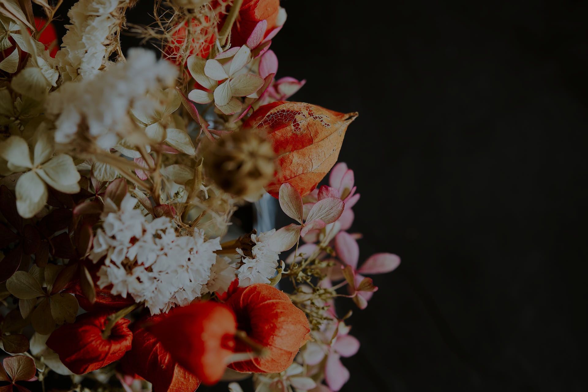 Gros plan de fleurs séchées rouges, blanches et roses sur fond sombre