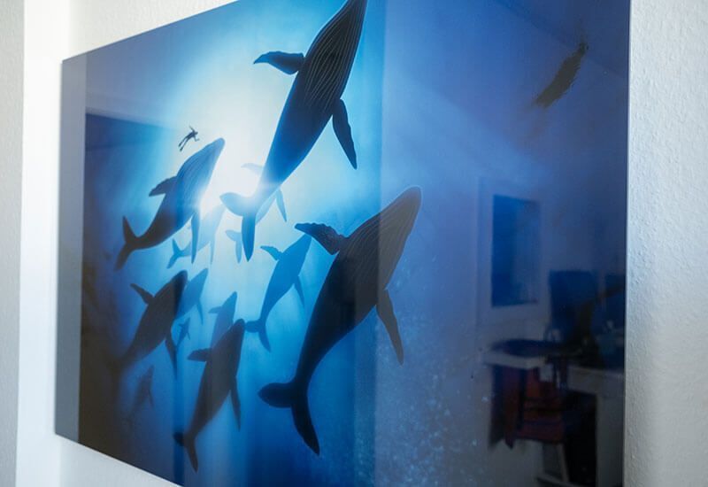 Praxis Dr. med. Rolf Niedballa Bamberg