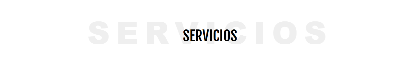 La palabra servicios está escrita en español sobre un fondo blanco.