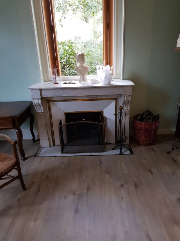 Cheminée ancienne et parquet